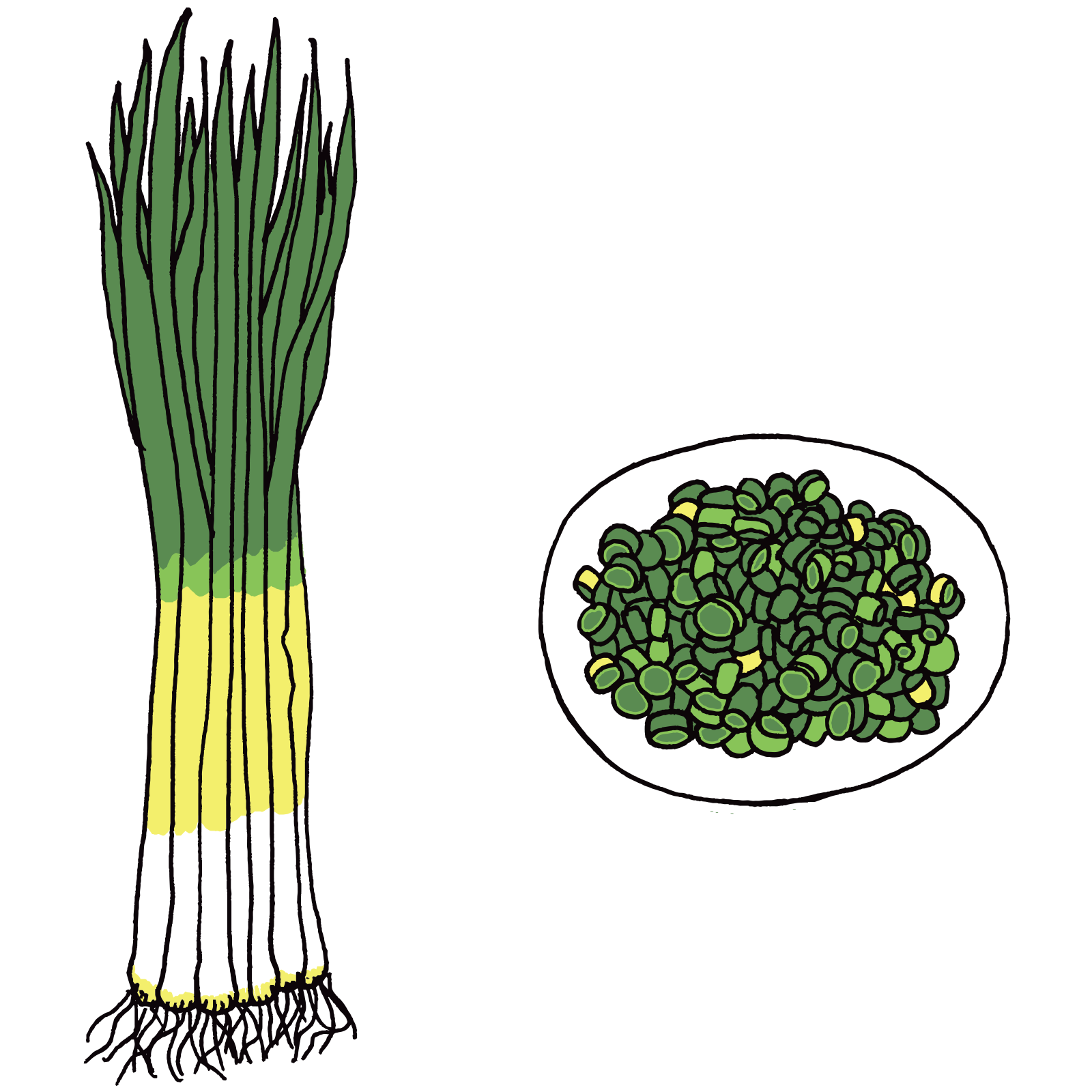 konegi